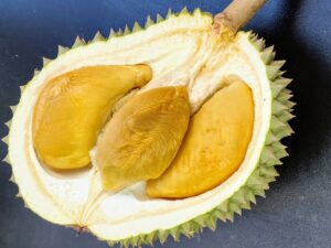 Ochee Durian Black Thorn D200