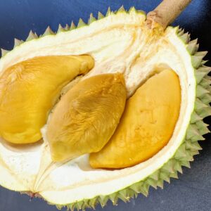 Ochee Durian Black Thorn D200