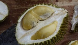 Tekka Durian D160