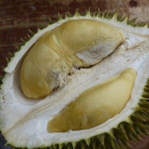 Tekka Durian D160
