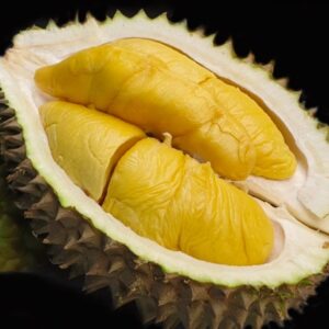 Mao Shan Wang Durian Musang King D197