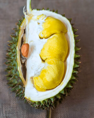 Tai Yuan Durian Black Pearl Hei Zhen Zhu