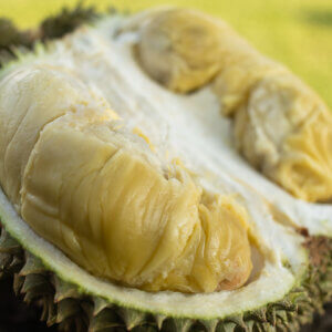 Group 3 Durians – Black Gold, Black Thorns Orchee (depending on Good Quality Durians availability)